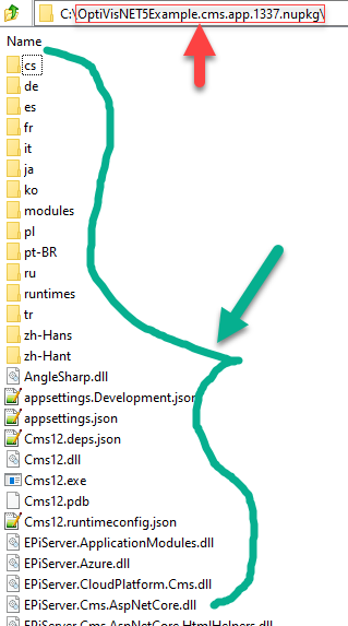 Optimizely CMS 12+ NUPKG format